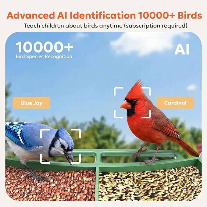 owltron Smart Window Bird Feeder with Camera, 2K 3MP HD, AI Identifies 10,000+ Species, 2.4/5GHz WiFi, 24/7 Live View, 147° Wide Angle, Suction Cup Mount – Gift for Bird Lovers, Elderly, Kids