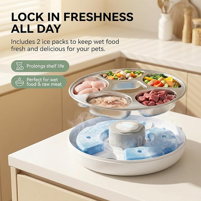 Ownpets Automatic Cat Feeder for Wet Food, with Stainless Steel Tray, 6 Meals Rechargeable Auto Pet Feeder with 2 Ice Packs, Cat Food Dispenser for Cats Small Dogs