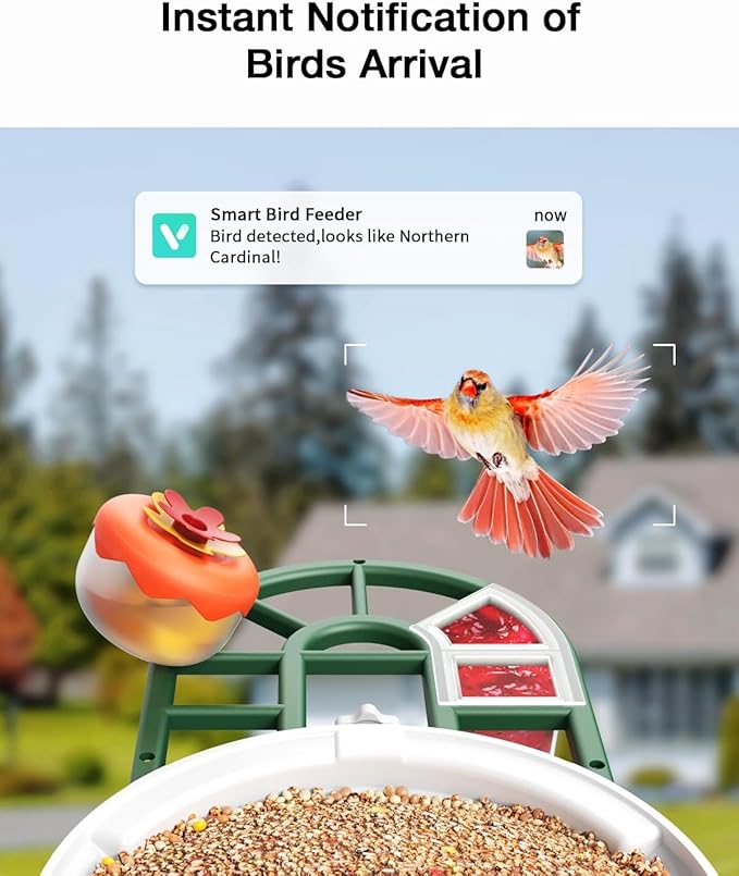 HARYMOR Bird Feeder with Camera Solar Powered-2K Live Feed, Smart AI Identify Birds, 2L Food Capacity, Auto Captured Bird Video, Real-time Arrived Alerts, Mini Hummingbird Feeder for Outdoor Backyard