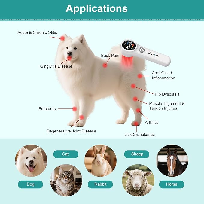 Cold Laser Therapy Device for Dogs, 16pcs 660nm & 4pcs 810nm & 4pcs 980nm Infrared Red Light Therapy Machine for Pain Relief, Arthritis, Spinal, Promote Blood Circulation, for Pets