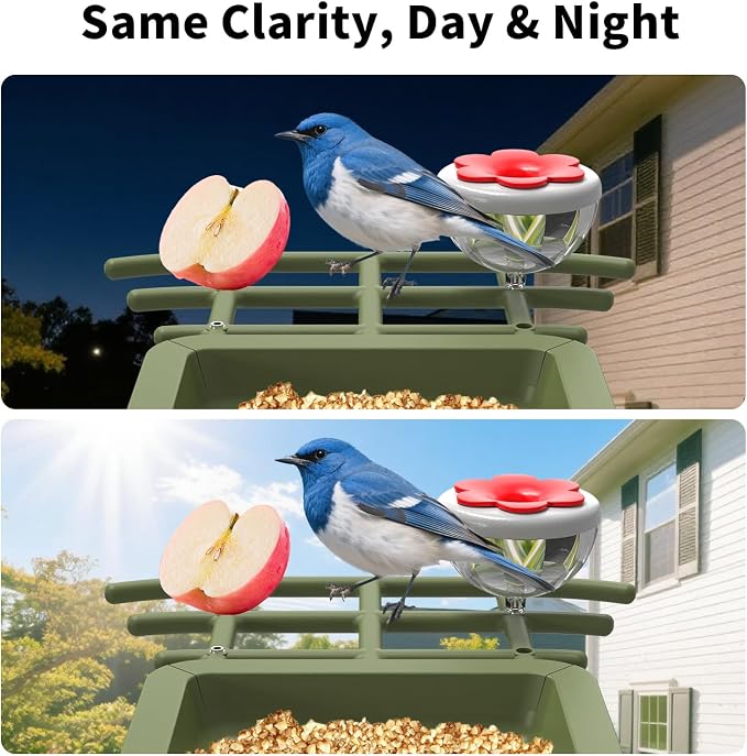 Smart Bird Feeder with Camera, Bird House with Camera Solar Powered Bird Feeder for Outside, AI WiFi Video Bird Feeder Camera Built-in Live Wireless Outdoor Bird Lover Women