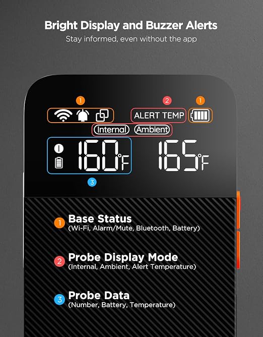 GoveeLife Smart Wireless Meat Thermometer with Bluetooth WiFi Ultra Range, Digital Oven Thermometer with Accuracy ±1.8°F, Charge Magnetic Base, Alarm, Kitchen Tools Suitable for BBQ, Grill, Smoker