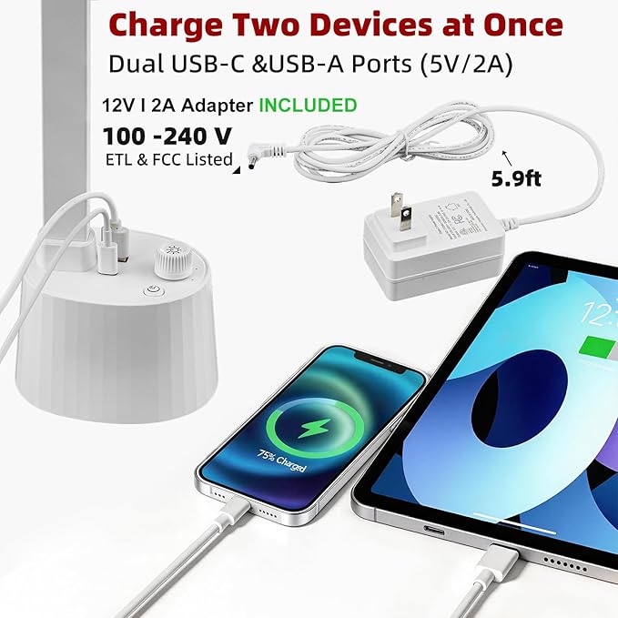 BOHON Small Desk Lamp with USB C Charging Port, Stepless Dimming 5 Colors Reading Light, Space-Saving Rotating Head Desk Lamp for Home Office, Dorm, Bedroom, White