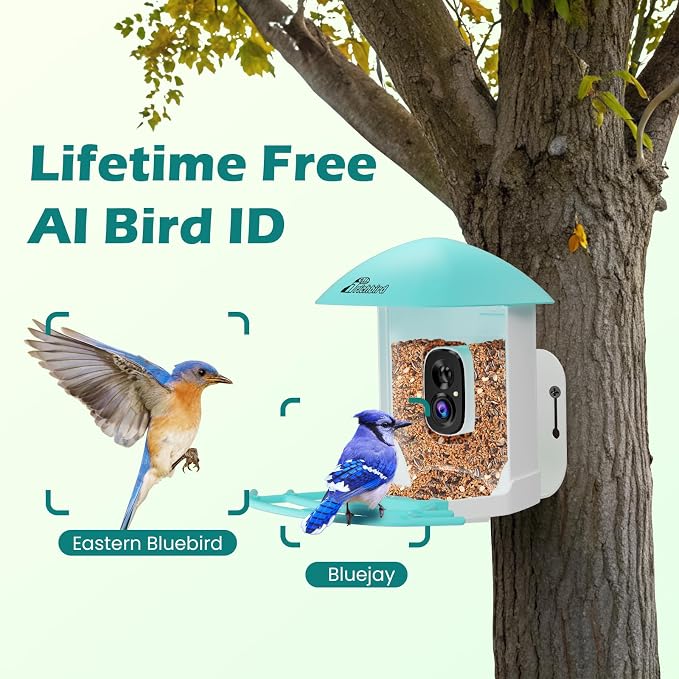 Bird Feeder with Camera, Smart Bird House with Cam for Outside, 2K HD Auto Record Video, AI Identification & Instant Alerts, Solar Powered, Bird Watching Cam for Dad Grandpa Birdlovers, Light Blue