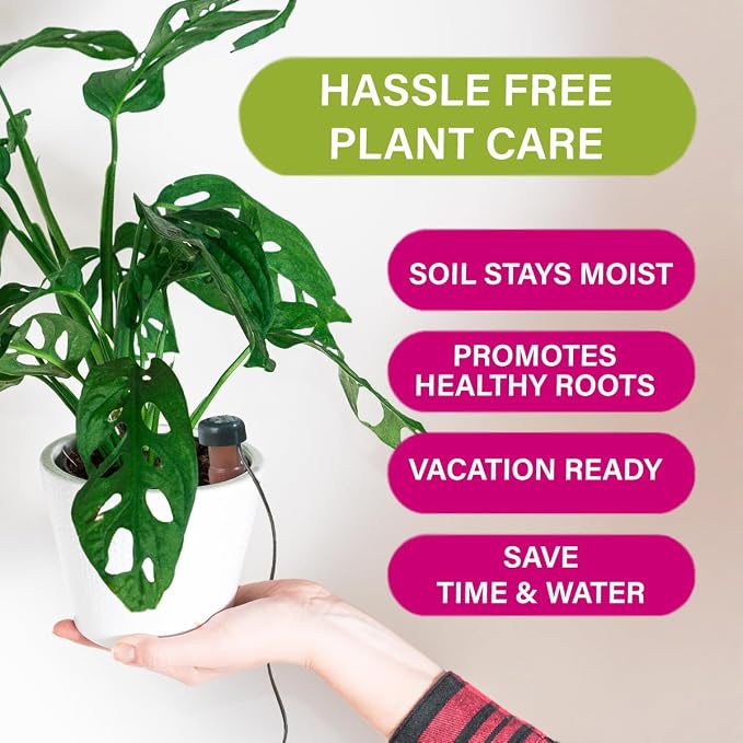 Blumat Classic Self-Watering Stakes - Prevents Overwatering and Underwatering for Healthy Growth While You are Away - Ideal for Indoor Plant Watering (25 Pack w/o Adapter)