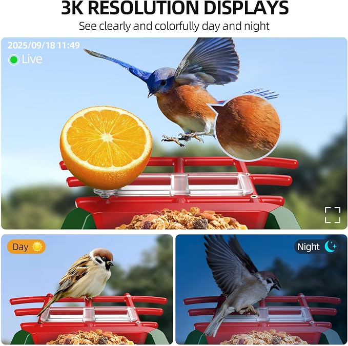 3K HD Smart Bird Feeder with Camera, 2.4GHz WiFi Solar Powered Smart Feeder, AI Bird Species Identification & Real-Time App Alerts, Chew-Proof & Waterproof for Outdoors-1