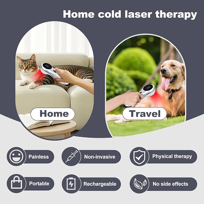 Handheld Home Cold Laser Therapy Device for Dogs and Pets, Vet Infrared Red Light Treament Machine with 808nm & 650n, LLLT Physiotherapy Equipment Portable, Animals Teddy Chihuahua Puppy Cat Horse