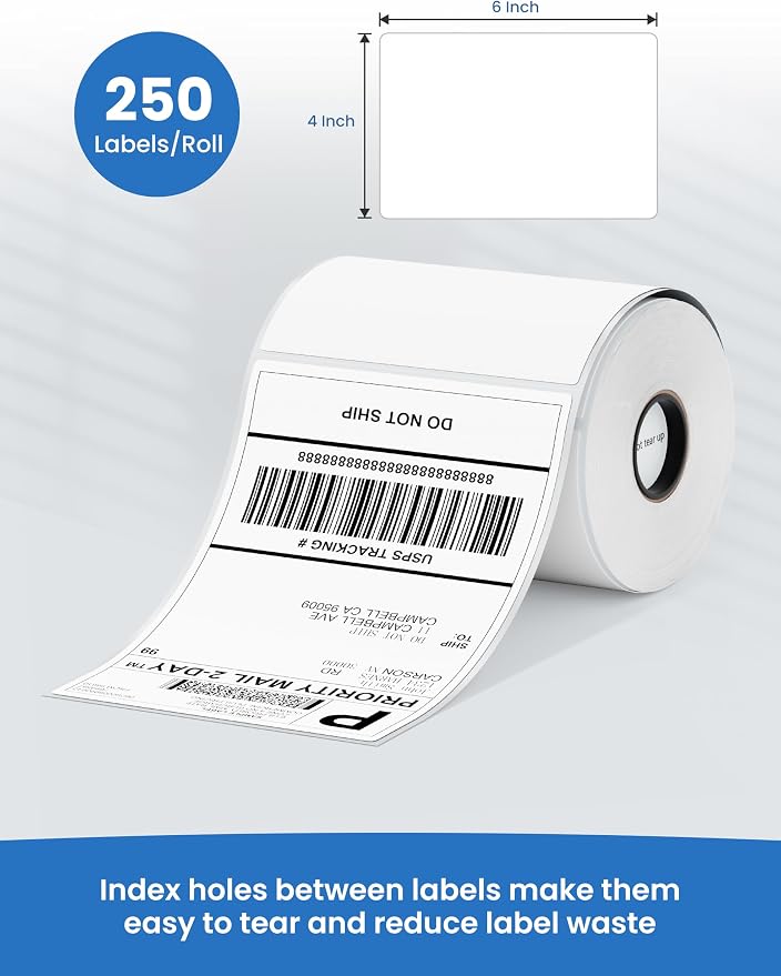 Phomemo D421R Bluetooth Thermal Label Printer with Screen for Paper Level Display - RFID Auto Size Detection 4x6 Thermal Printer with Segmented Code Screen with 250 Labels