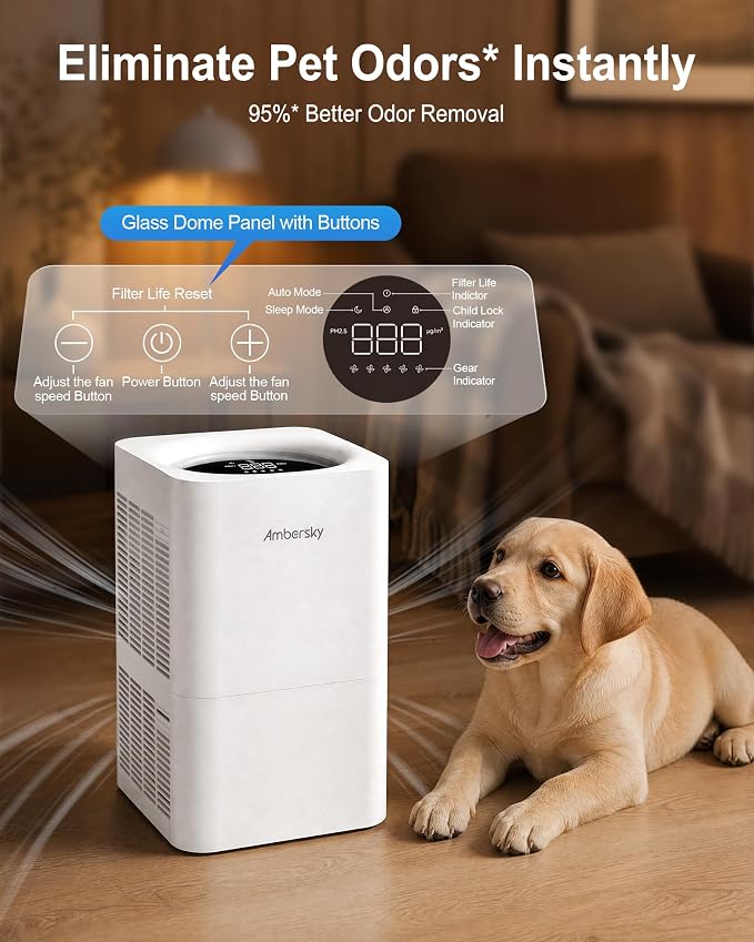 Ambersky Air Purifier for Home, True HEPA Filter for Large Room Up To 2500 Sq Ft, Sleep Mode, 5 Fan Speeds, 360° Air Cleaner for Pet Hair, Smoke, Dust, Odor