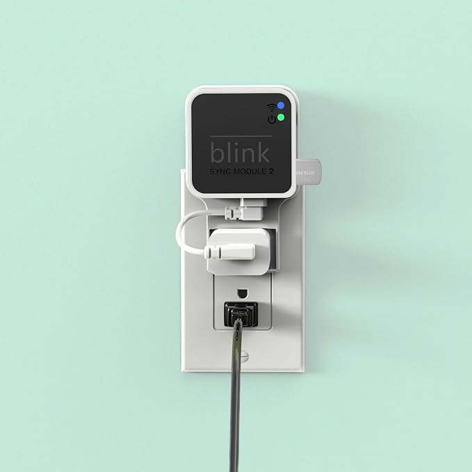 256GB USB Flash Drive for Local Video Storage with The Blink Sync Module 2 Mount (Blink Add-On Sync Module 2 is NOT Included)
