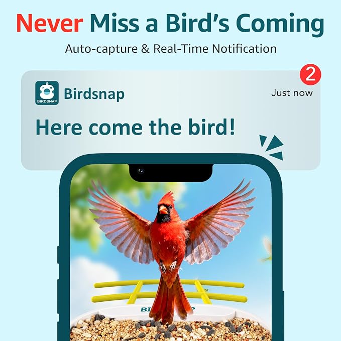 birdsnap® TUC Bird Feeder with Camera 2K HD Live with 32GB Card Auto Detect & Notify AI Identify Camera Birds Feeders Solar Powered Wireless Outdoors Backyard Gift for Mom Dad Birds Lover, 2.4G WiFi