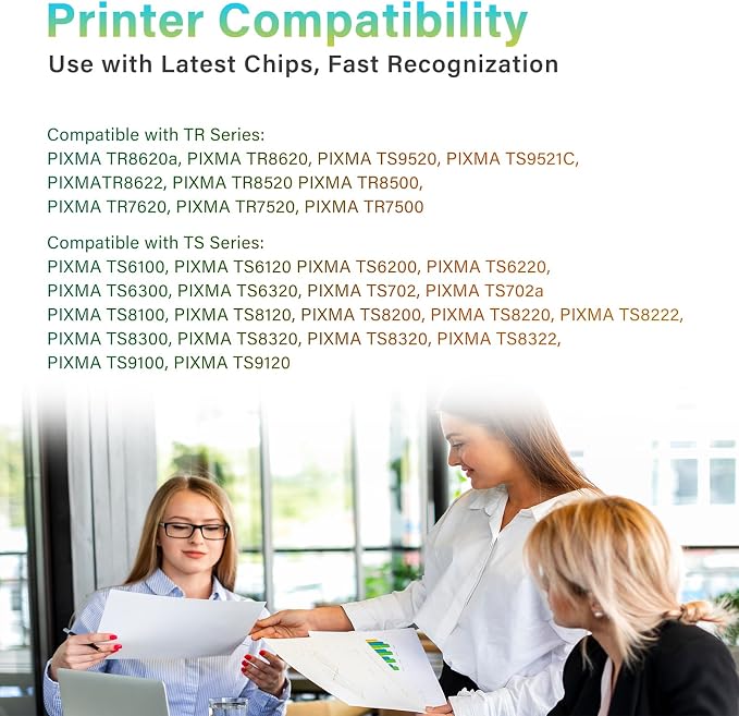 PGI-280 XXL PGBK Ink Cartridges Compatible for Canon PGI-280XXL Black Ink Tank, Compatible with PIXMA TR7520 TR8520 TR8620A TS9120 TS6120 TS6220 TS6320 TS702 TS8120 TS8220 Pinters (2* PGBK)