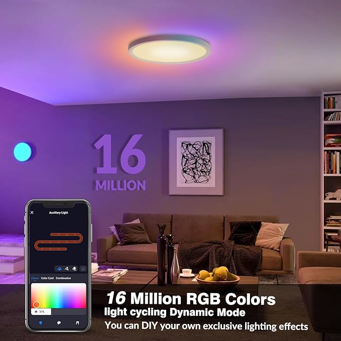 Smart RGB LED Ceiling Light with Remote, 12" WiFi Flush Mount Ceiling Light Works with Alexa & Google Home, 24W 2640LM Dimmable, DIY Colors & 2700K-6500K, for Bedroom Living Room, 1 Pack