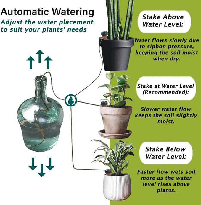 Blumat Classic Self-Watering Stakes - Prevents Overwatering and Underwatering for Healthy Growth While You are Away - Ideal for Indoor Plant Watering (12 Pack w/o Adapter)