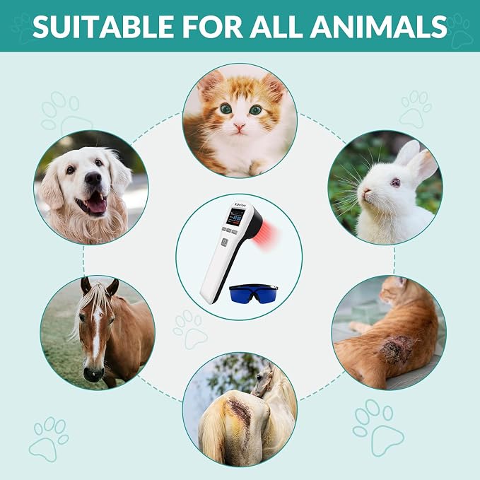 Dog Red Light Laser Therapy Device, 4x808nm+16x650nm, Cold Laser Therapy Devices for Pain Relief, Red Light Laser Therapy for Dog Arthritis, Home Vet Light Therapy Device for Dogs, Cats