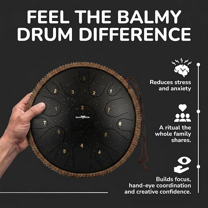 Balmy Drum Steel Tongue Drum 14 inch 15 Notes 440Hz, Handpan Drum with Music Book, Mallets, Carry Bag, Finger Picks, Rain Drum for Outdoor, Meditation Yoga Calming Instruments for Adults Kids (Black)