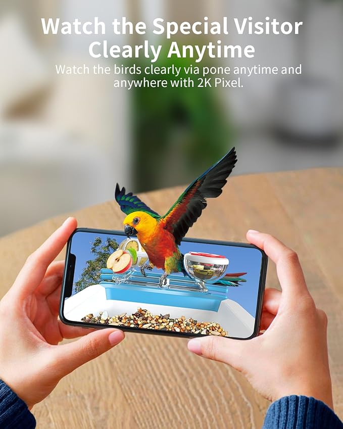 Bird Feeder with Camera, 2K Smart BirdCamera with Solar Powered, AI Identify Birds Species, Instant Arrival Alerts, 2.4Ghz WiFi Bird House for Outdoors, Ideal Gift for Family and Bird Lovers (Blue)