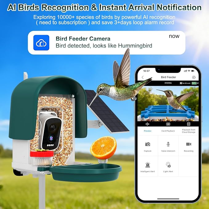 Smart Bird Feeder with Camera Solar Powered, Green | AI Bird Identification for 10000+ Species, 4K HD Live Video & Instant Alerts, 2.4GHz WiFi, IPX7 Waterproof