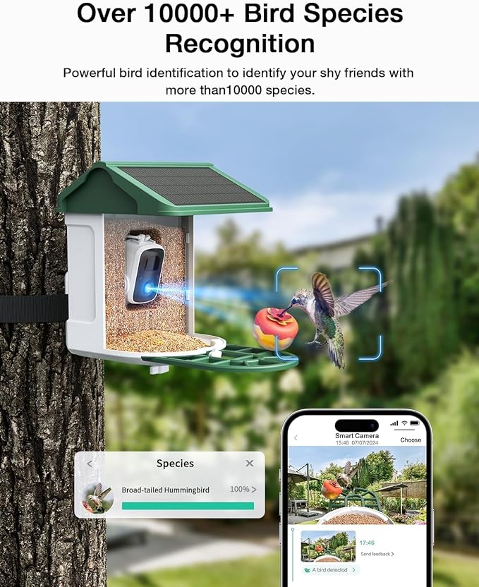 HARYMOR Bird Feeder with Camera Solar Powered-2K Live Feed, Smart AI Identify Birds, 2L Food Capacity, Auto Captured Bird Video, Real-time Arrived Alerts, Mini Hummingbird Feeder for Outdoor Backyard