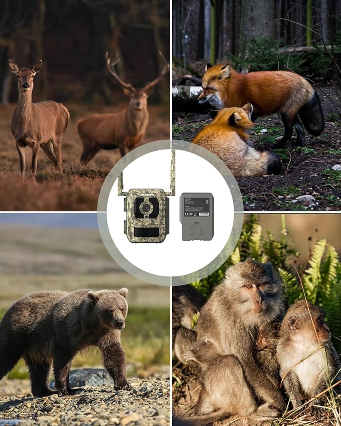 True 4K 4G LTE Cellular Hunting Camera Outdoor +Battery Pack+6W Solar Panel, 0.2s Trigger Speed, Game or Trail Camera with GPS, Non-Glow IR, SIM Card, Motion Capture, Talon Pro+BP-10+SP-10