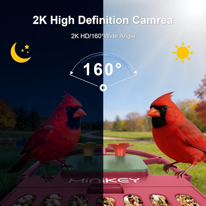 Smart Bird Feeder with Camera Outdoor Birdhouse: AI Identifies 11000+ Species, 2K HD with Arrival Alerts, Attracts Hummingbirds, Dual Squirrel-Proof, Solar Powered, Gifts for Bird Lovers Mom Dad(Red)