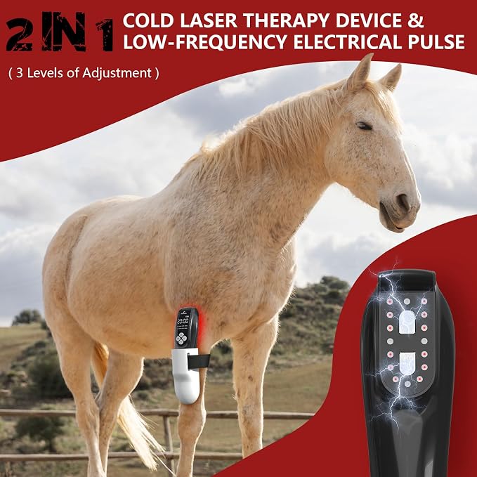 Cold Laser Therapy Device for Horse, Portable Red Light Therapy with 4pcs 808nm and 12pcs 650nm, Near Infrared Laser for Arthritis Pain Relief- Stimulation for Tendon, and Ligament Recover