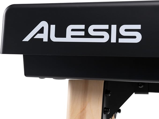 Alesis Recital Home Digital Piano with 88 Hammer Action Weighted Keys, Stand, Pedals and Lessons, Black