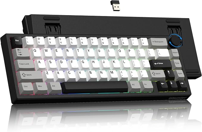 Womier Wireless 60% Gaming Keyboard with CNC Knob, QMK/VIA Creamy Mechanical Keyboard, Tri-Mode Thocky Custom Black White Key Board, Hot Swappable Gasket Mount RGB for Win/Mac(Q61 V2)