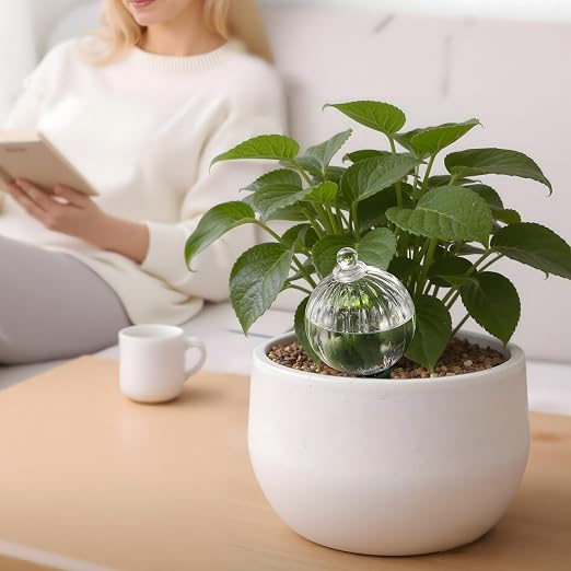 Soilagua 23 oz Extra Large Plant Watering Globes, Top Fill Clear Glass Watering Bulbs with Terracotta Adapter, Slow Release Self Watering for Daily & Vacation Use, Waterer, Planter Insert, 1 Pack