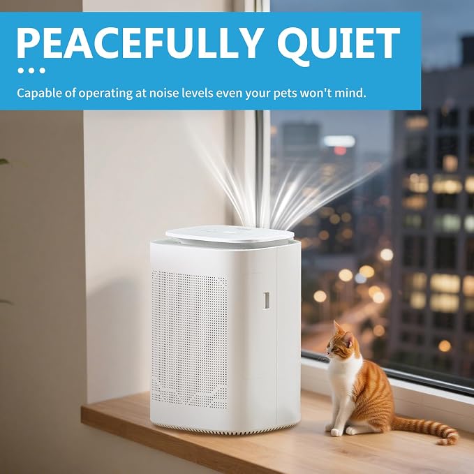 Dehumidifier and Air Purifier Combo HEPA H13 Filter and Negative Air Ion Function,54oz(1600ML) Water Tank with Drain Hose,24hrs Auto-Off Timer,Idea for Bedroom,Bathroom(W)