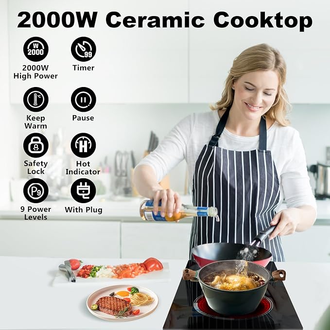 Double Burner Electric Cooktop Plug in 2000W, 110V~120V Countertop Stove, Electric Stove 2 Burner for Cooking, 110 volt Kitchen Stove 12inch Built-in Countertop with Timer, Peak, Pause