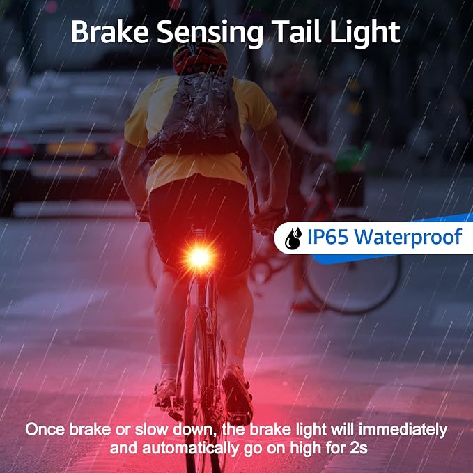 NineLeaf Bicycle Tail Light Rechargeable,Bike Tail Light with Alarm and Remote,Bike Alarms for Ebikes,IP65,113dB Alarms, Level 7 Sensitivity, Auto ON/Off Bike Tail Light with Smart Brake Lights