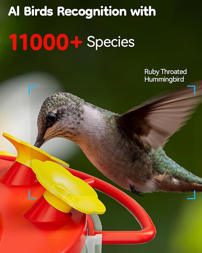 LongPlus® Hummingbird Feeder with Camera for Outdoors Solar Powered,Smart Bird Camera with 2K Live Video,Ant Guard Base,AI Identify Bird Species,Ant Moat,Bee Proof with 3 Feeding Ports,Gifts Ideal