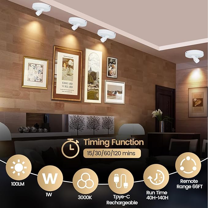 HAMVIDNE LED Spotlight, Rechargeable Battery Picture Lights, Uplighting Indoor, Spot Light with Remote, Plant Tree & Wall Art Display Dartboard Closet Spotlight-White