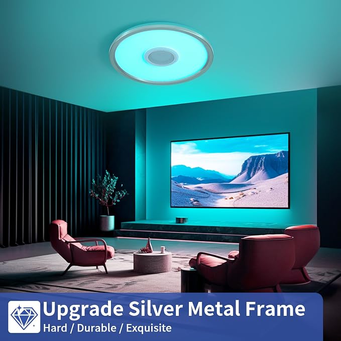 RGB LED Ceiling Light, with Bluetooth Speaker, 24W 12 Inch Smart Music Ceiling Lamp with App and Remote Control, 3000K-6500K Color Changing Lights Fixture for Child Bedroom Bathroom, Silver