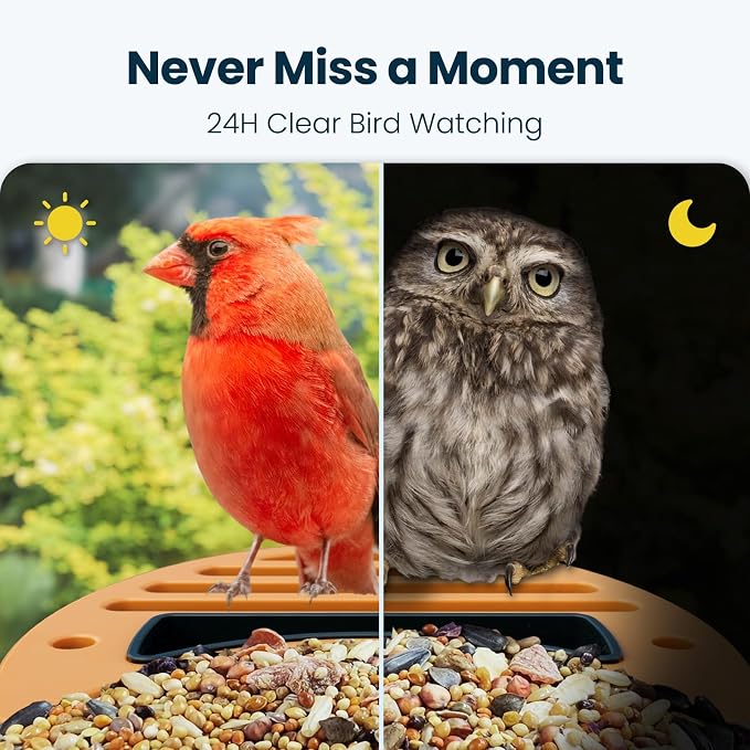 Smart Bird Feeder with Camera, 2.5K UHD Solar Powered WiFi Bird Watching Camera, AI Bird Species Identification, Instant Alerts, IP66 Waterproof Outdoor Wild Bird Feeder, Gift for Dad, Green