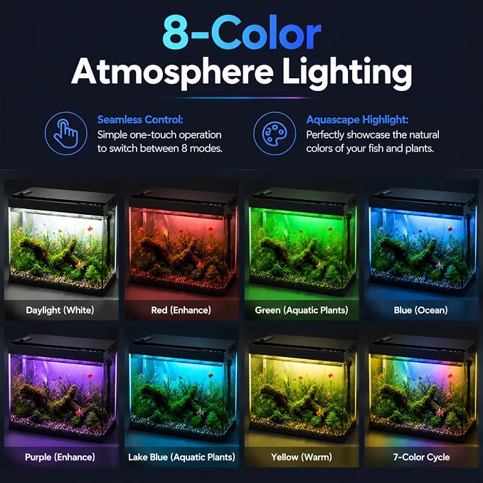 5 Gallon Fish Tank with Auto Feeder, Aquarium Starter Kit with Self Cleaning Filter, Crystal-Clear Glass, 7-Color LED Light, 5-Minute Setup, Vacation-Ready Betta & Goldfish Tank for Desk & Office