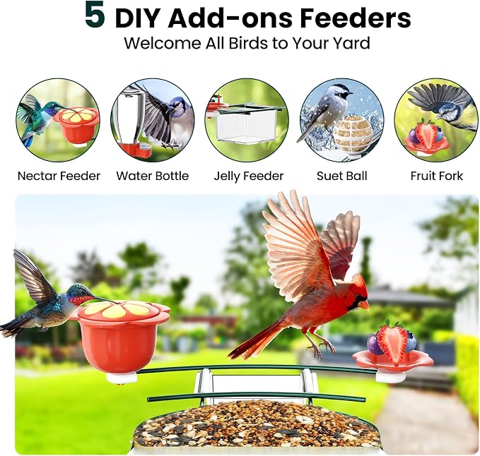 SOLIOM Bird Feeder with Camera, Solar Smart Bird Feeder Camera with AI Bird Identification, 2K HD Live View & Instant Alerts, Squirrel-Proof Metal Outdoor Bird Feeder, Bird Watching Gift Set (Green)