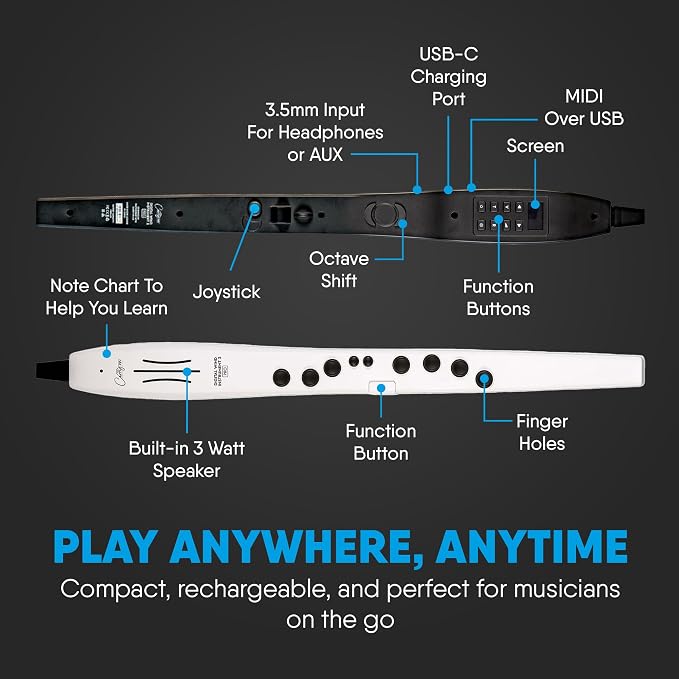 Carry-on Digital Wind Instrument 2 Pro - Lightweight and Rechargeable with 65 Instrument Voices - Built-In Speaker, Intuitive LCD Interface and Bluetooth Connectivity for Performance On-The-Go