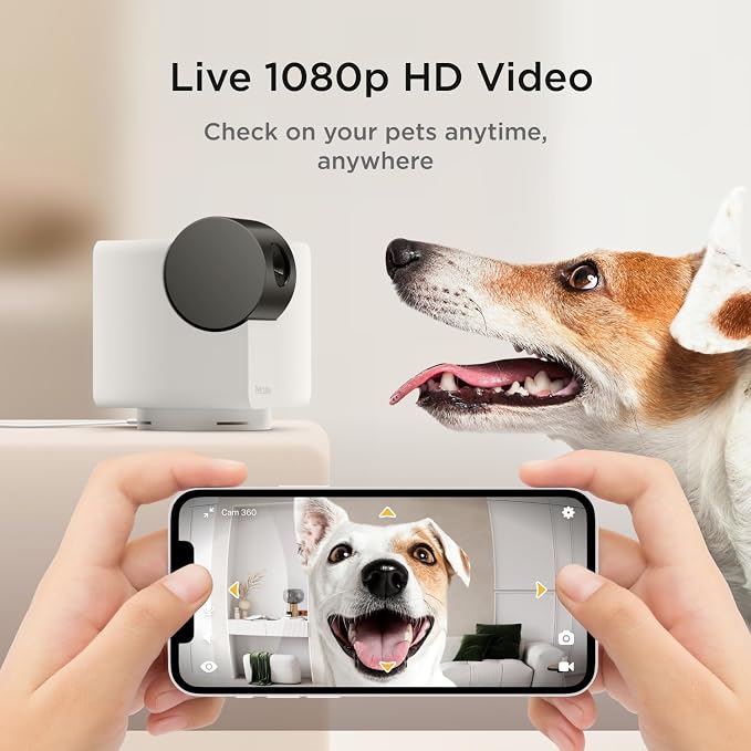 Petcube Pan-Tilt Cam 360° View – 1080p HD Dome Camera, WiFi Pet & Home Security, Complete 360° Surveillance, Night Vision, AI Alerts