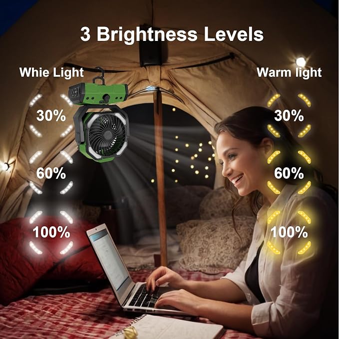 ELZO 30000mAh Camping Fan with LED Light, Max 70H Working, Cordless Portable Rechargeable Desk Tent USB Fan with Remote Hook, Head Rotation, Stepless Speed, for Home Outdoor Office Travel Fishing