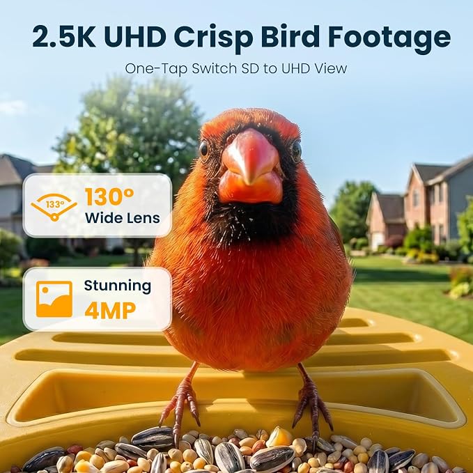 Smart Bird Feeder with Camera, 2.5K UHD Bird Camera AI Identifies 11,000+ Bird's Species, Real-time Bird's Videos & Pictures, Solar Powered Feeder Wireless for Outdoor, Ideal Gift for Dad, Yellow