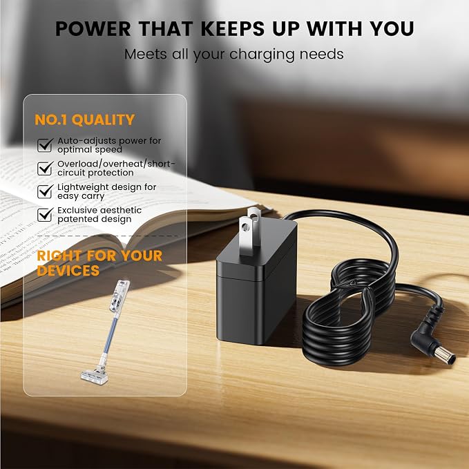 Charger AC Adapter Compatible with Bissell Cordless Vacuum PowerClean 4173 4137 Replacement Removeable Battery 4194 Self-Standing Cleaner Power Supply Cord