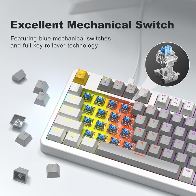 MOFII AK96 Mechanical Gaming Keyboard, Full Keys LED Backlit Programmable, Plug and Play USB A/C Wired Computer Custom Keyboard with Sound/Light Control Knob for Win/Mac - Gray & White