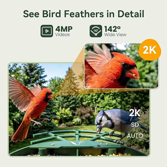 Smart Bird Feeder with Camera, AI Identify Birds Species, 2K HD Color Night Vision, IP65 Waterproof Solar Powered Bird Feeder with 142° Wide Angle, Auto Capture & Real-Time Notifications, Ideal Gift