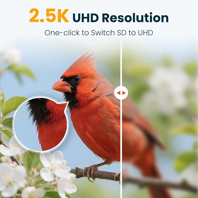 Smart Bird Feeder with Camera, 2.5K UHD Solar Powered WiFi Bird Watching Camera, AI Bird Species Identification, Instant Alerts, IP66 Waterproof Outdoor Wild Bird Feeder, Gift for Dad, Green
