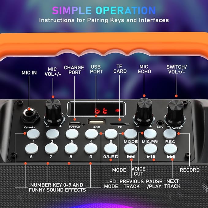 Karaoke Machine with 2 Wireless Microphones, Portable Bluetooth Karaoke Speaker for Adults & Kids with Strobe Lights, Karaoke Microphone with PA System Supports TWS/USB/TF/REC/FM/AUX