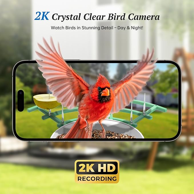 Smart Bird Feeder with Camera, 2K HD AI Identify Birds Species, Bir d Watching Camera with Solar Panel, Instant Notifications, Ideal Present for Bir d Lover, Grass Green