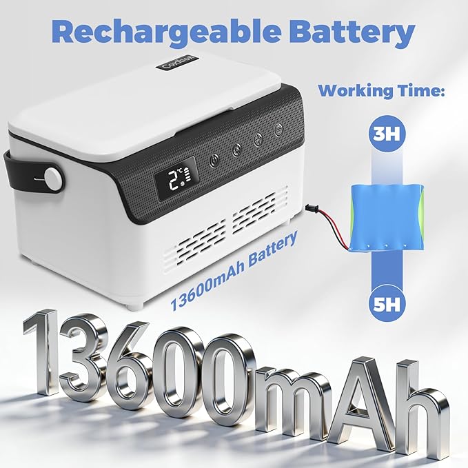 Electric Insulin Cooler Travel Case Box, Mini Insulin Fridge, Portable Insulin Refrigerator Diabetic Cooler Box for 4-5 Pens, 2-18℃ Temperature Control, with Handle, Power Supply, Rechargeable Battery