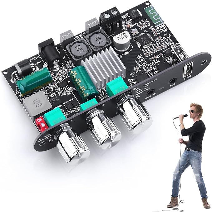 Bluetooth5.3 Mini Amplifier Board 100W Mono Power Amp with TWS Box, Karaoke Audio Amps Module with Boost for Home/Outdoor DIY Speakers, DC 9-24V, MIC and Reverb, Supports BT/USB/AUX Inputs